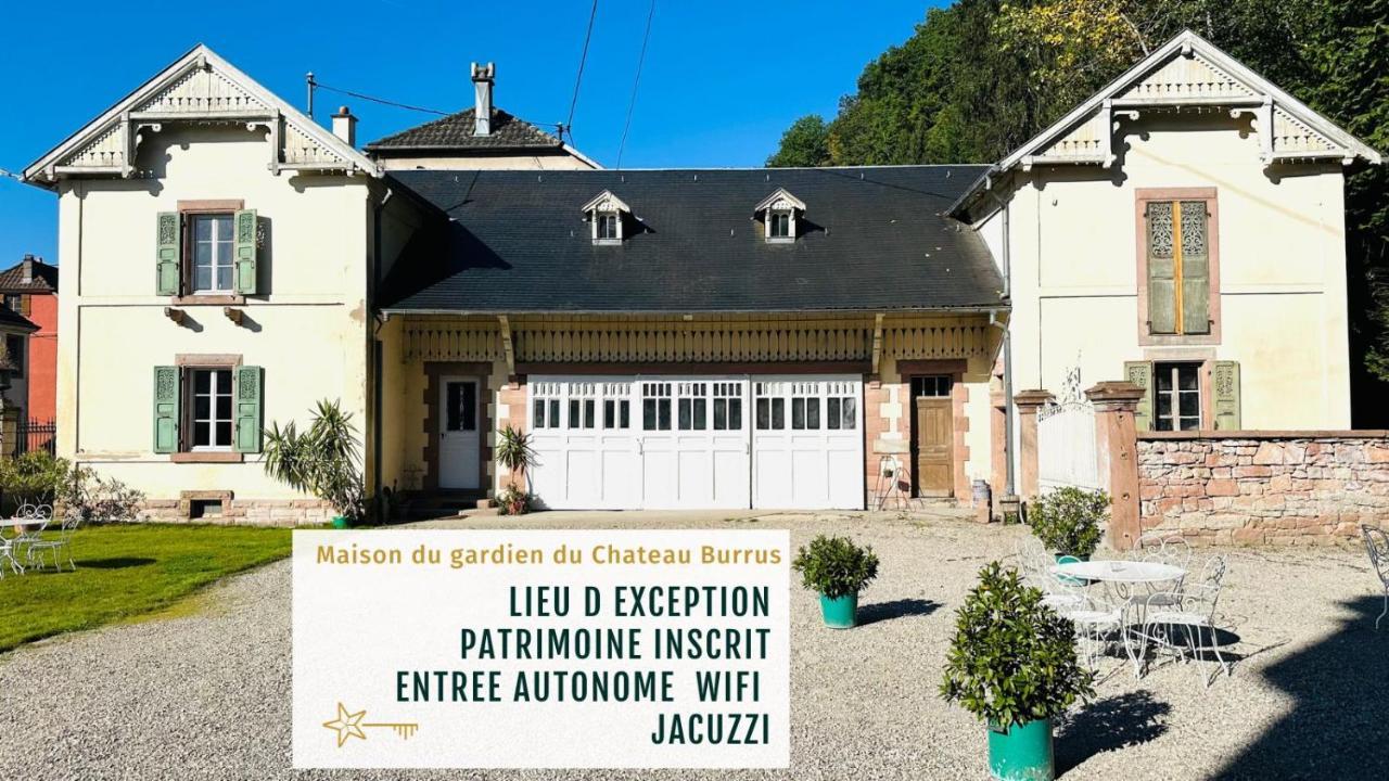 Au Coeur De La Verriere Du Chateau Burrus Sainte-Croix-aux-Mines Екстериор снимка